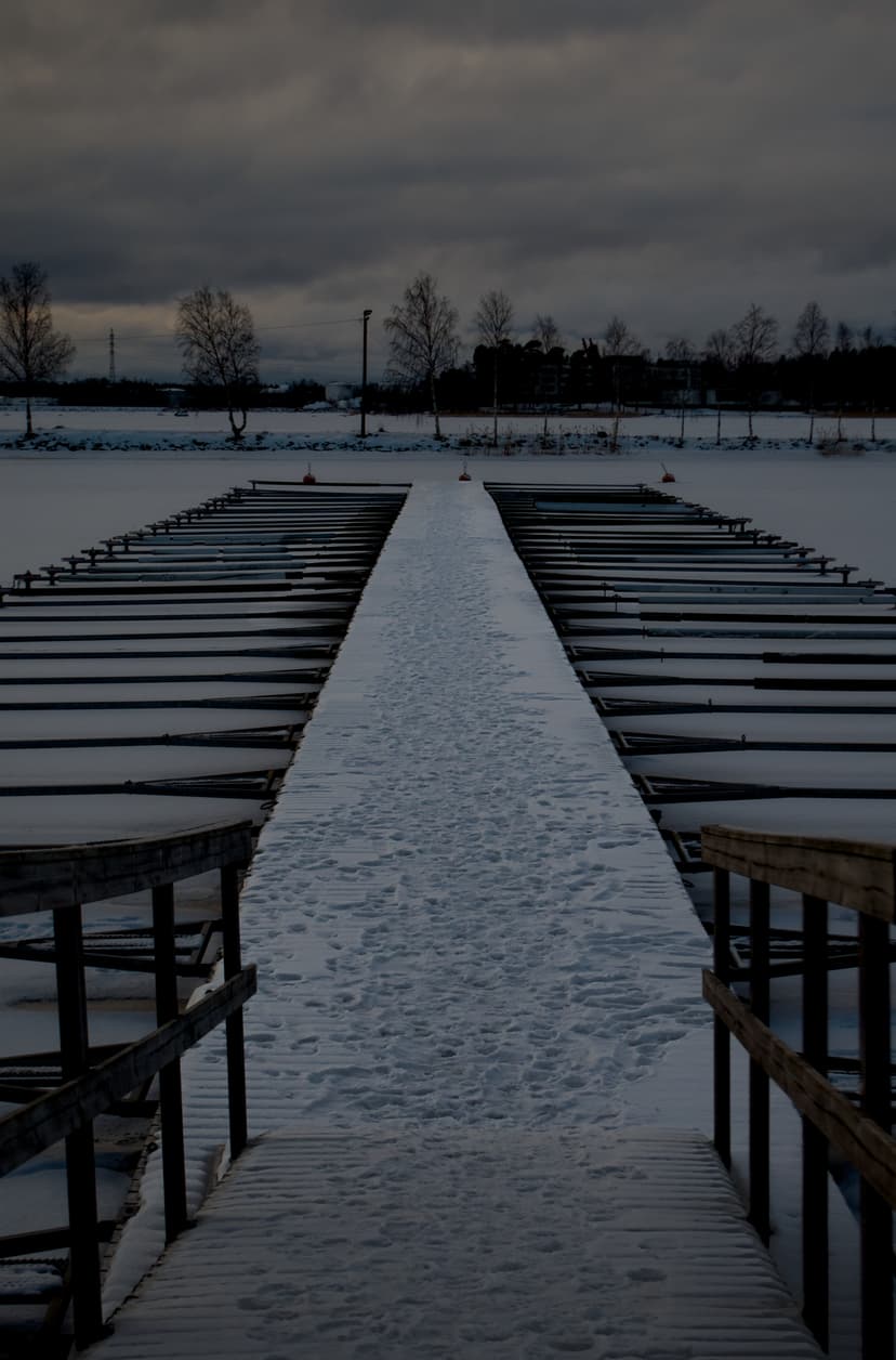 Frozen dock